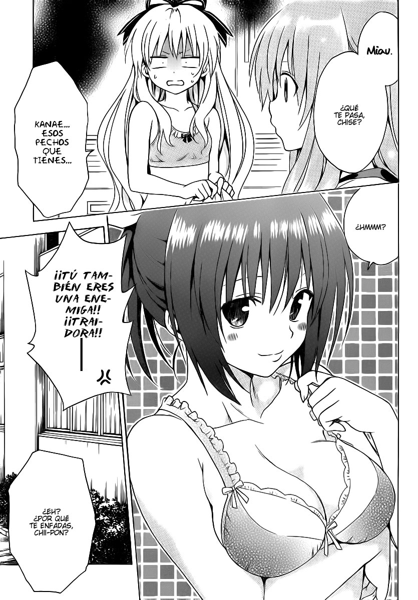 Mayoi-Neko Overrun! (Menudo-Fansub)