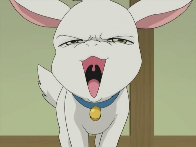 Futakoi (Anime Underground)