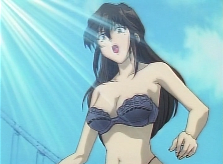 Taiho Shichau zo Special (Estás Arrestado: Mini Specials) (El Mejor Anime Fansub)