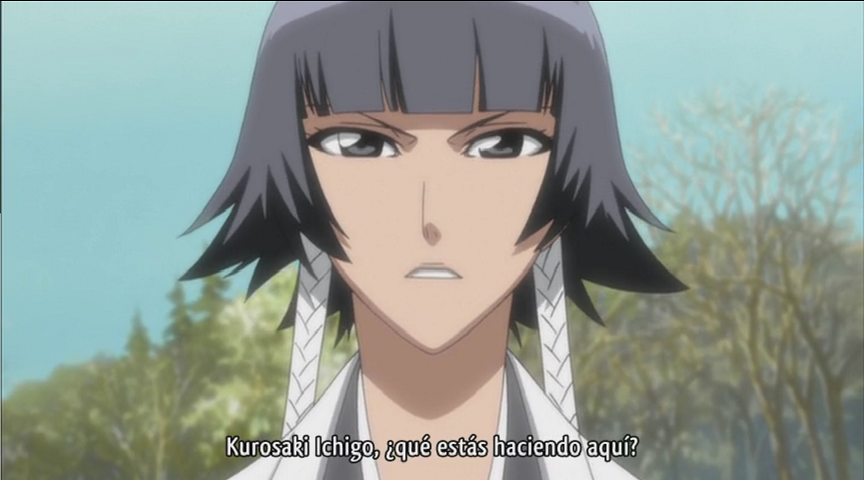 Bleach Movie 2: The DiamondDust Rebellion - Mou Hitotsu no Hyourinmaru (Nine Tails Fansub)