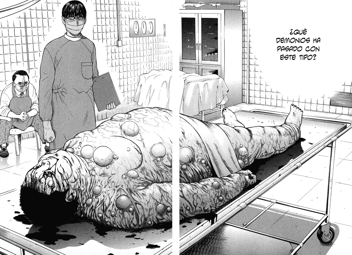 Emerging (Araña Fansub)