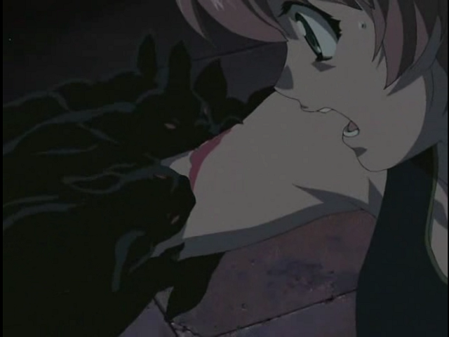 Read or Die TV (Anime Generation Fansub, Anime Underground, AniXtasis, Densetsu Fansub, Kamonohashi no Fansub, Kamikaze no Gakkou, Royal Fansubs, Sokyuu Ai No Fansub, Tai-Rei Fansubs)