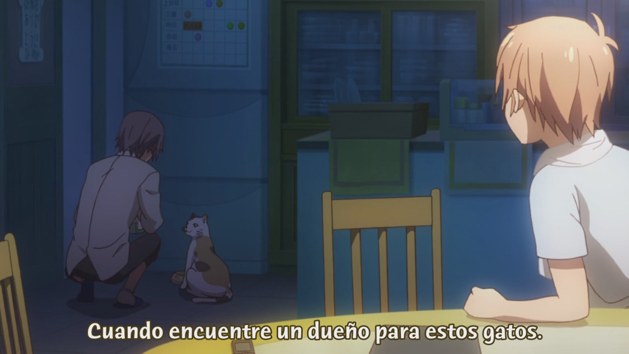 Sakura-sou no Pet na Kanojo (Animexz no Fansub)