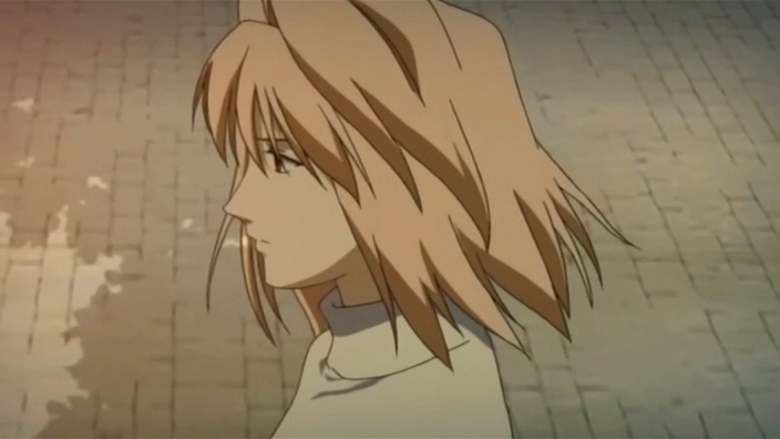 Lunar Legend Tsukihime (Shingetsutan Tsukihime) (Anime Underground)