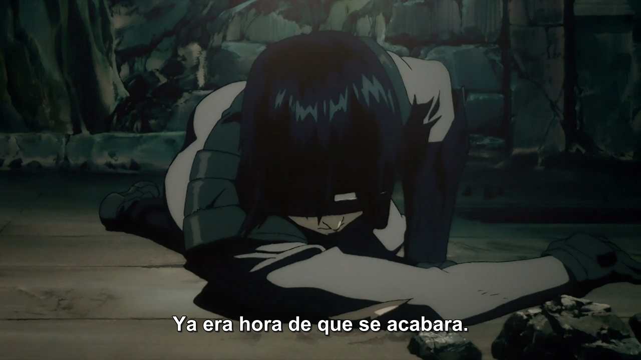 Ghost in the Shell 2.0 (Evoshare)