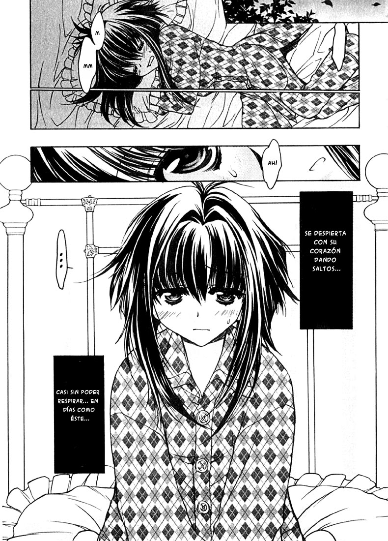 Chibi Vampire (Karin) (Clamp Fansub)