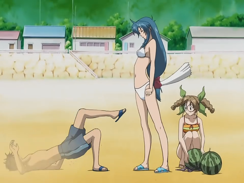 Full Metal Panic? Fumoffu  (Anime Underground)