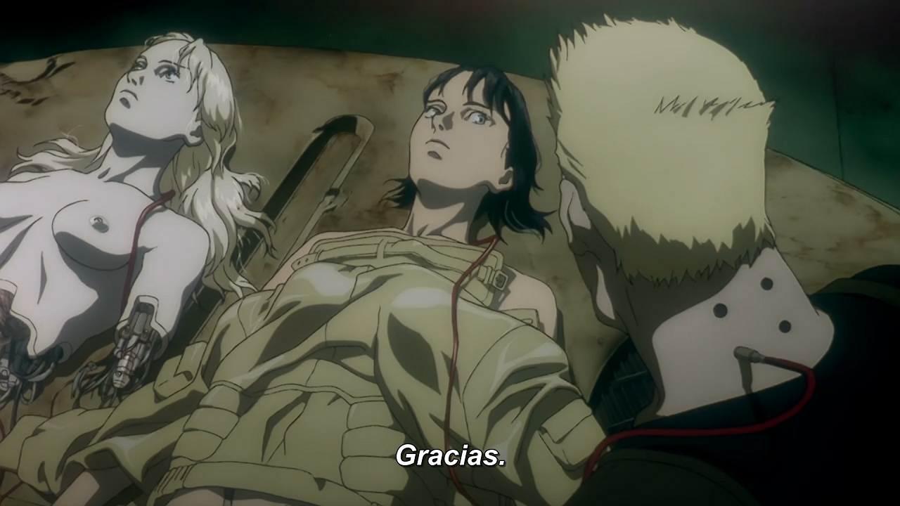 Ghost in the Shell 2.0 (Evoshare)