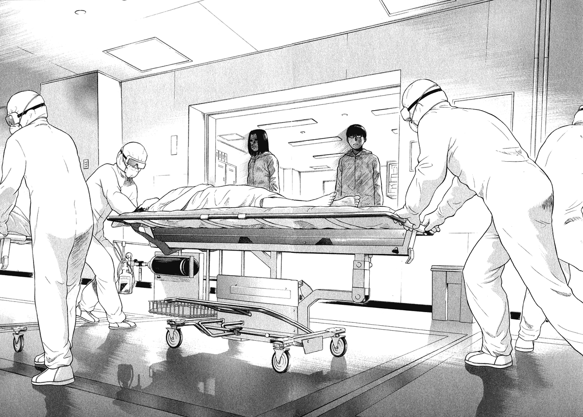 Emerging (Araña Fansub)