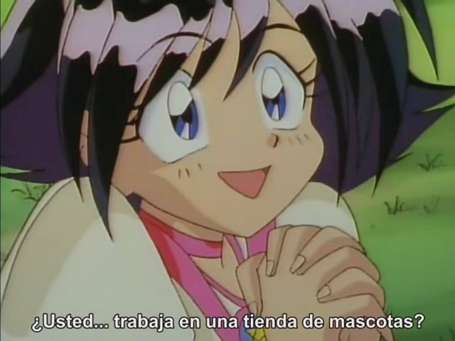 Slayers (Athena no Seinto)