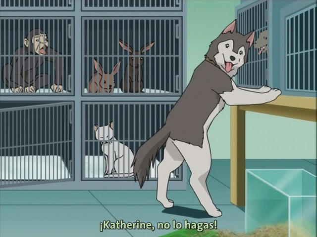 Futakoi Alternative (Nanikano Fansub)