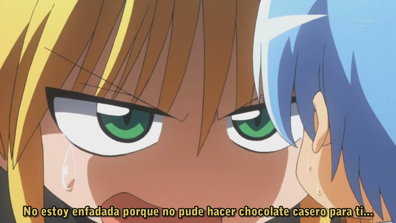 Hayate no Gotoku!! (Hitori no Fansub)