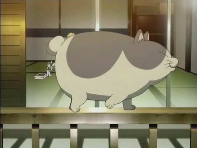 Midori no Hibi (Anime Underground)