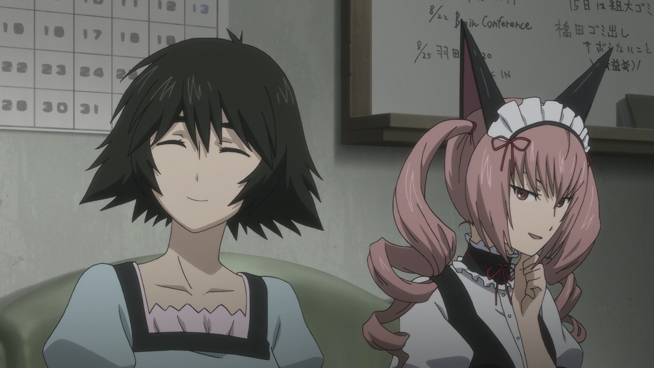 Steins;Gate: Fuka Ryouiki no Déjà vu (Friki no Fansub)