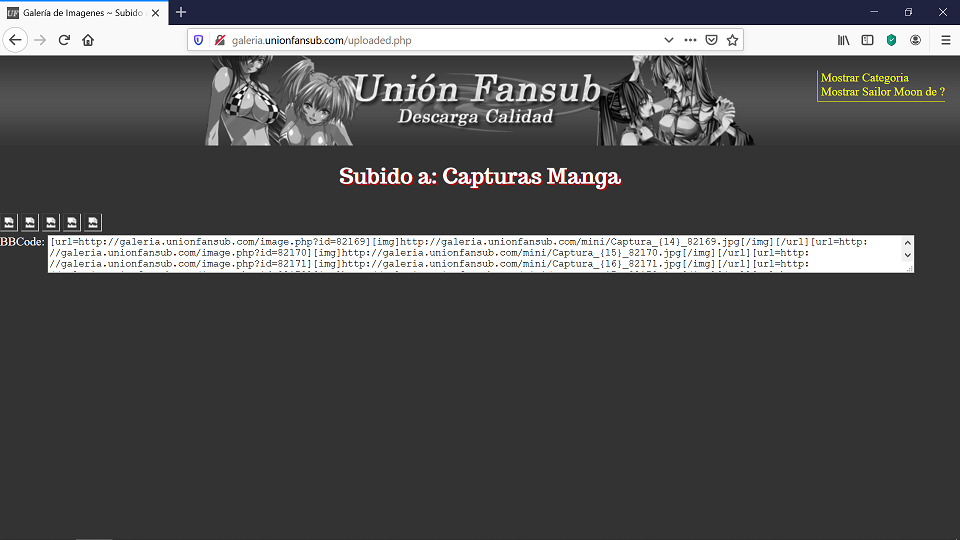 Posible error de visualización de capturas (Captura del error) (Prueba)