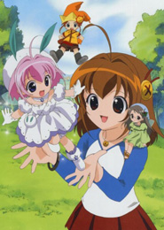 Chicchana Yukitsukai Sugar