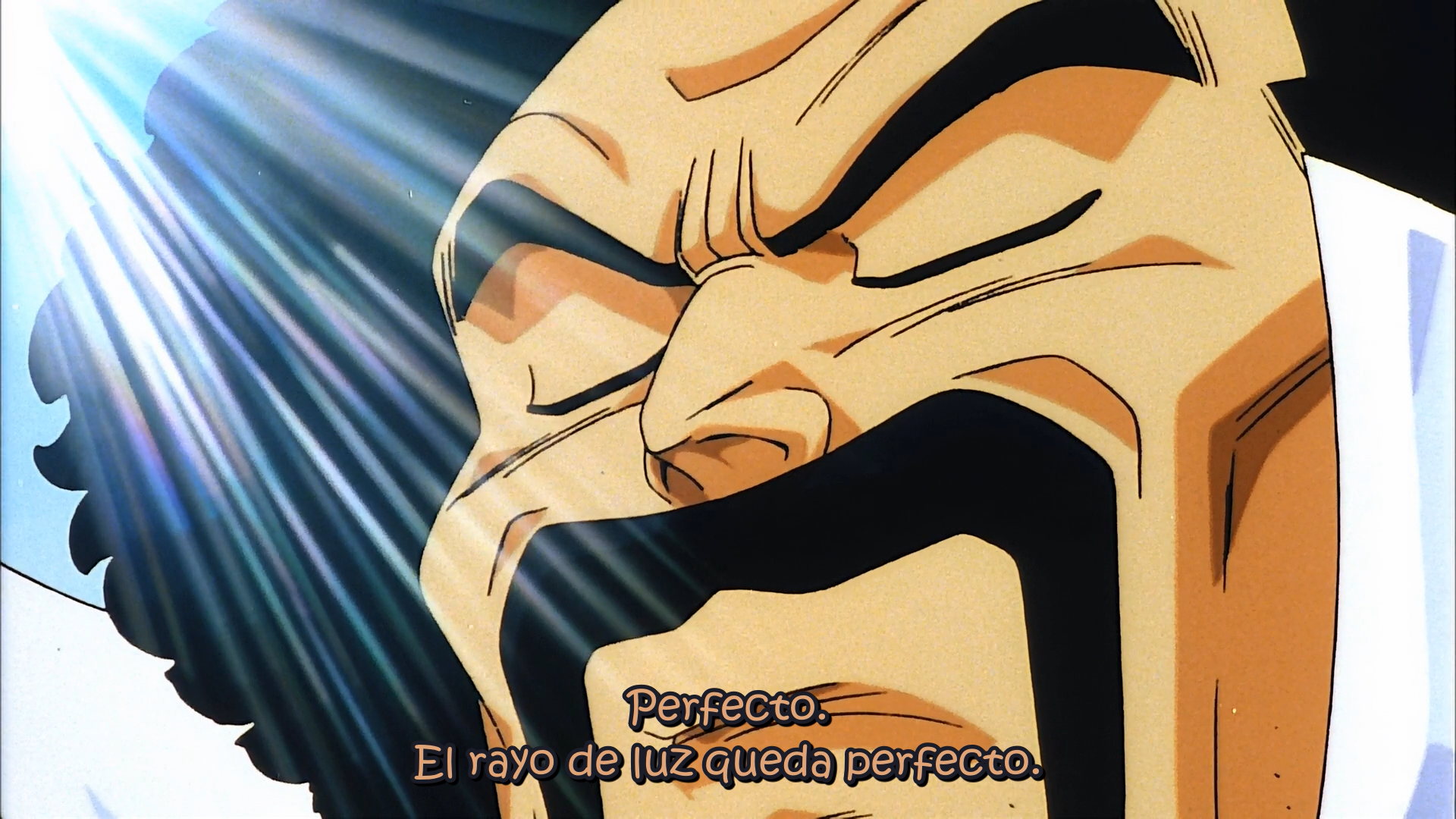 Dragon Ball Z - Película 11: ¡La derrota del superguerrero! La victoria será mía (EvoShare)