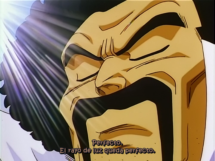 Dragon Ball Z - Película 11: ¡La derrota del superguerrero! La victoria será mía (EvoShare)