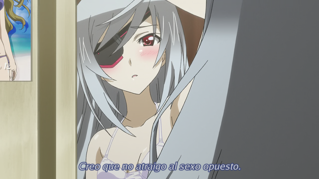 IS: Infinite Stratos 2 (Ñyuum)