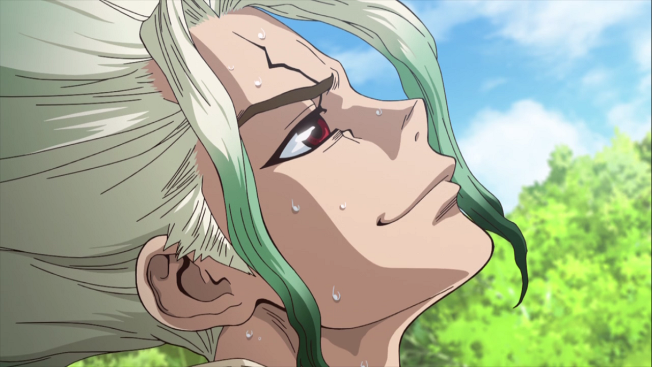 Dr. Stone (PuyaSubs!)
