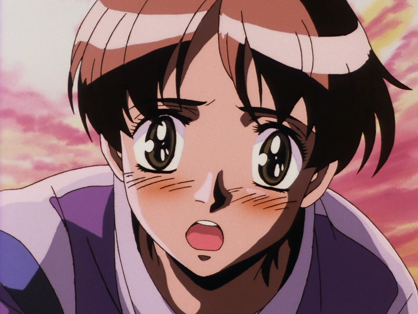Tenkuu no Escaflowne (EvoShare)