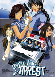 Taiho Shichau zo Special