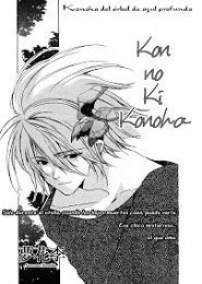 Kon no Ki Konoha