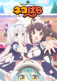 Nekopara TV