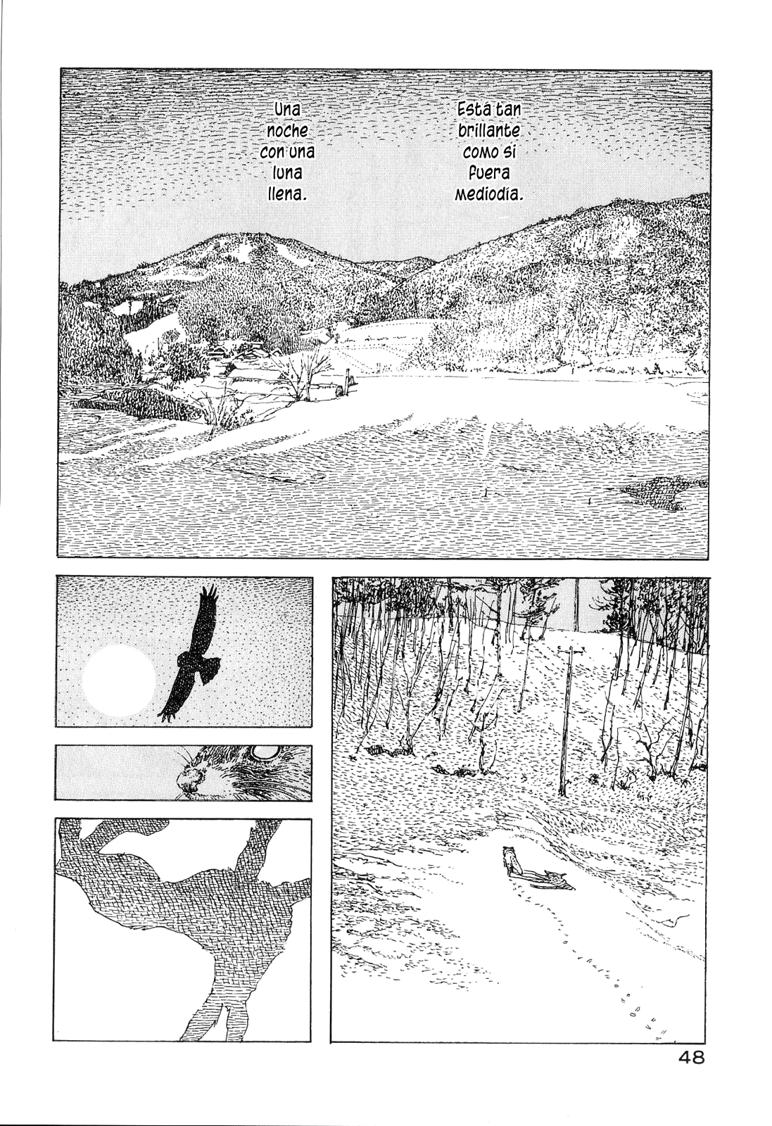 Little Forest (Araña Fansub)