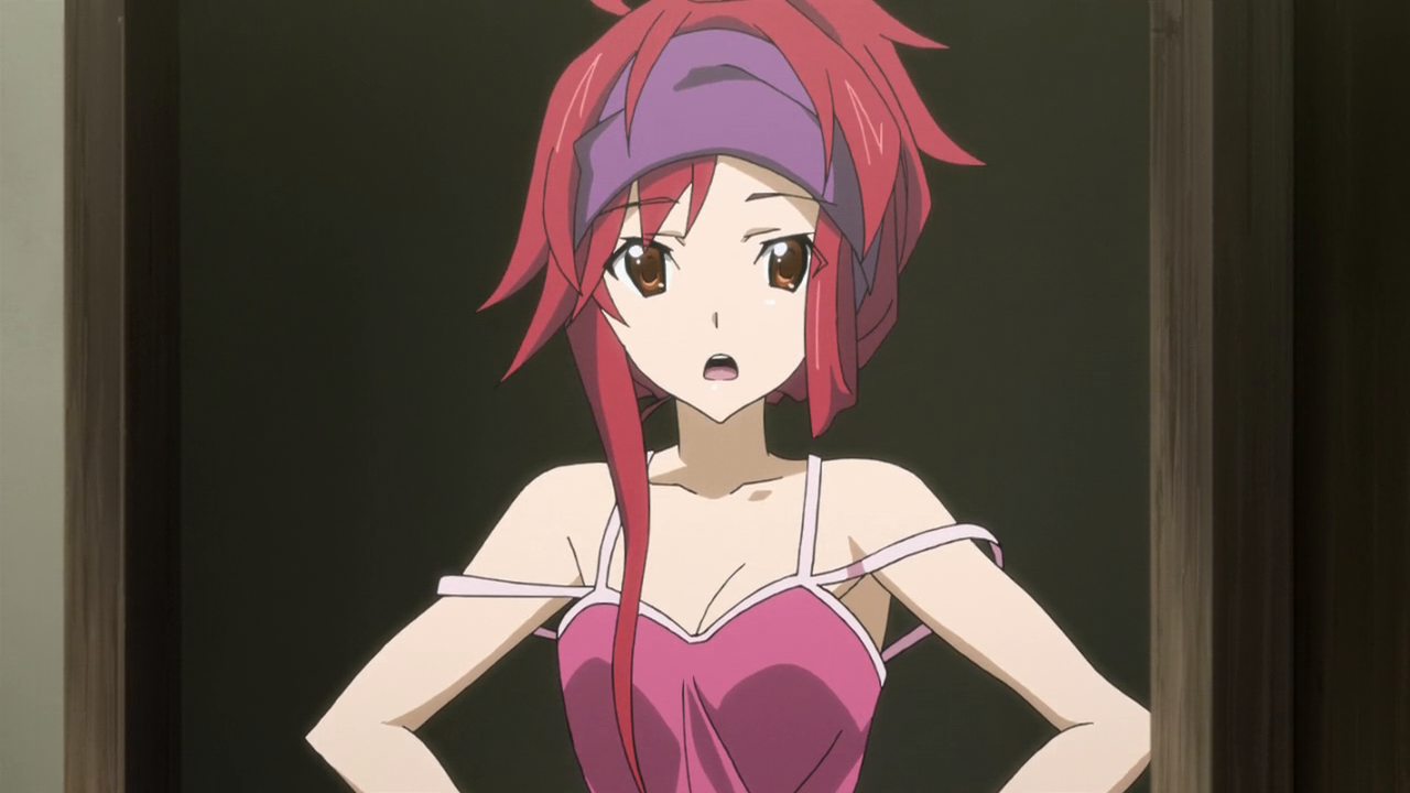 IS: Infinite Stratos (Ñyuum)