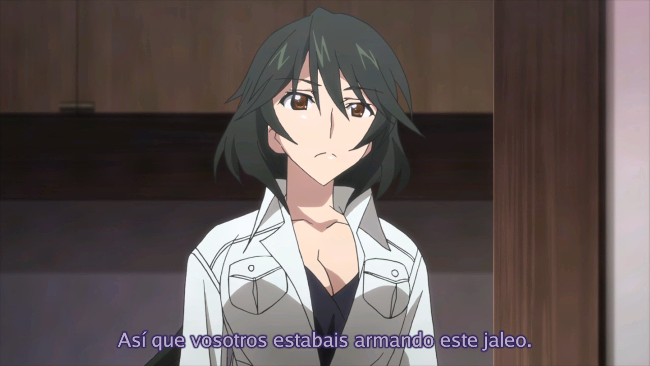 IS: Infinite Stratos Encore - Koi ni Kogareru Rokujuusou (Ñyuum)