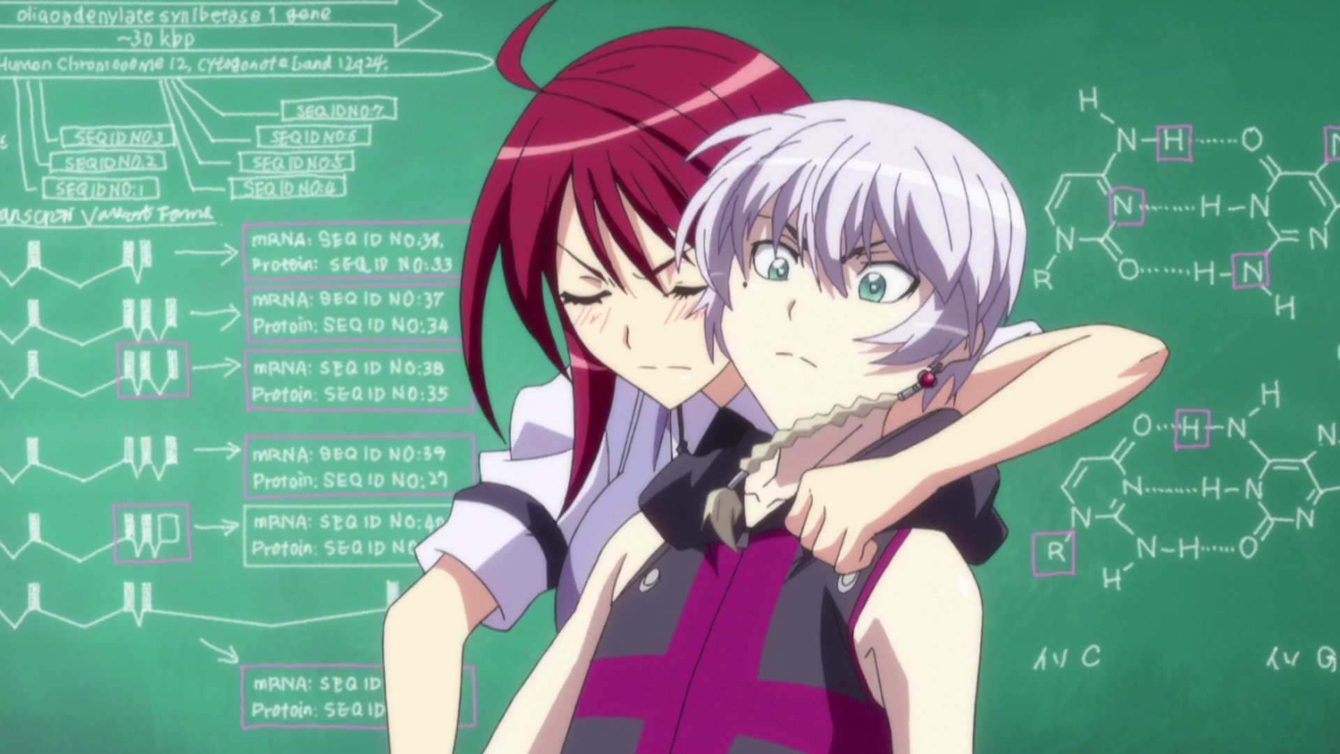 Seikon no Qwaser II (Látigo Nostálgico)