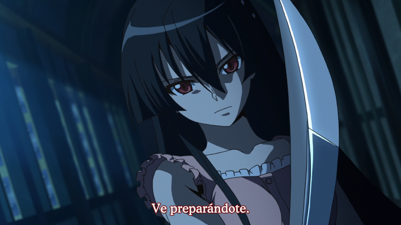 Akame ga Kill! (Yoru no Kousen)