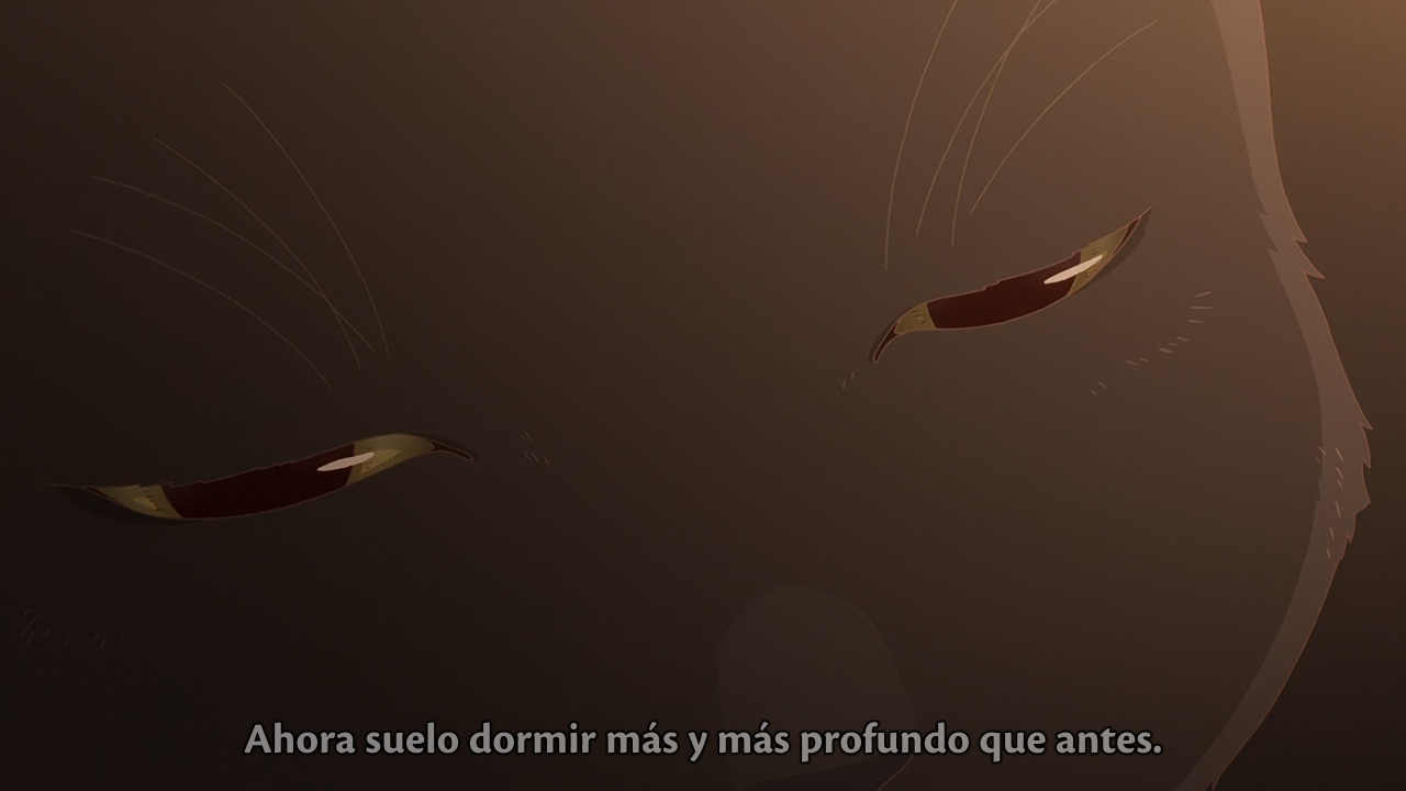 Kanojo to Kanojo no Neko: Everything Flows (Dakara Subs, DeSubstanciao)