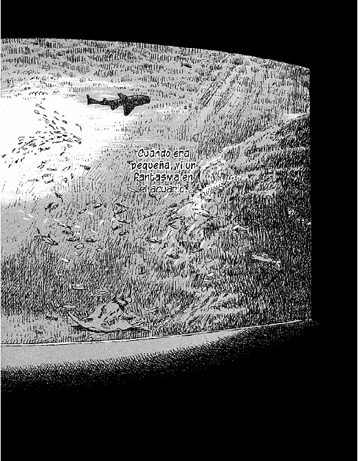 Niños del Mar (Araña Fansub)