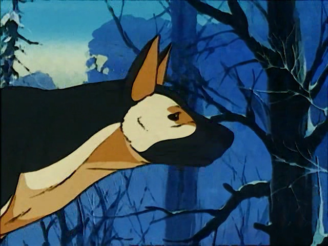 La llamada de la Naturaleza (?)