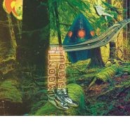 BORUTO NARUTO NEXT GENERATIONS