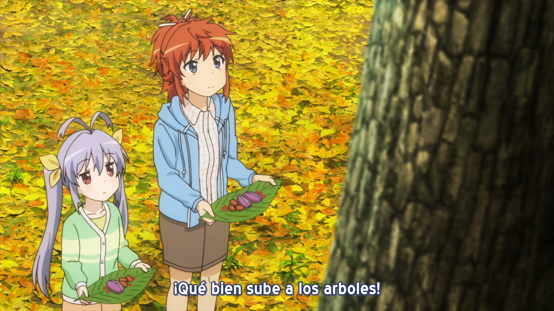 Non Non Biyori Repeat: Hotaru ga Tanoshinda (1080p) (Anime Overground)