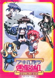 Cyberteam in Akihabara: Vacaciones de Verano del 2011