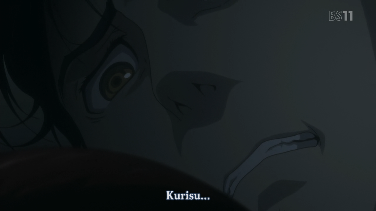 Steins;Gate Episode 23 β (Yoru no Kousen)