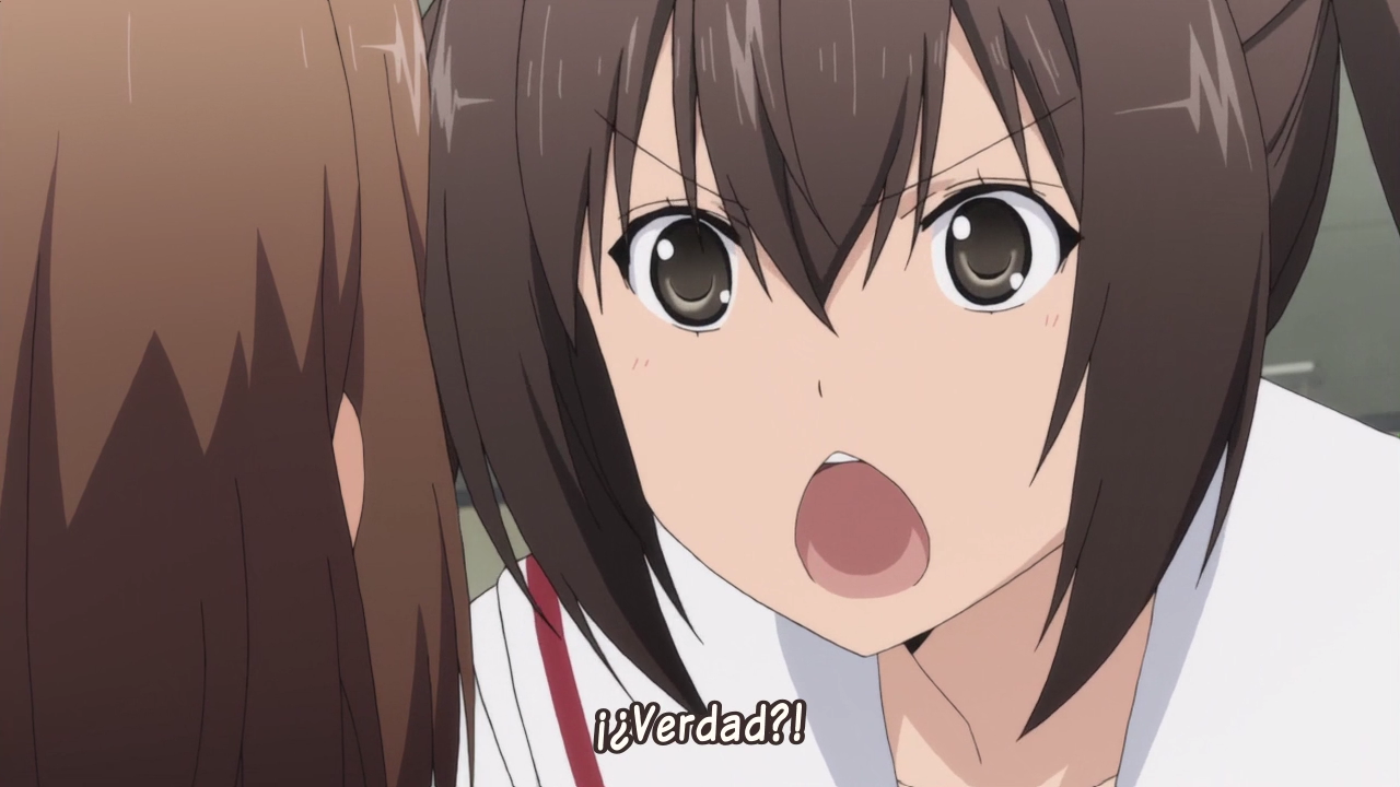 Minami-ke Tadaima (Athena no Seinto)