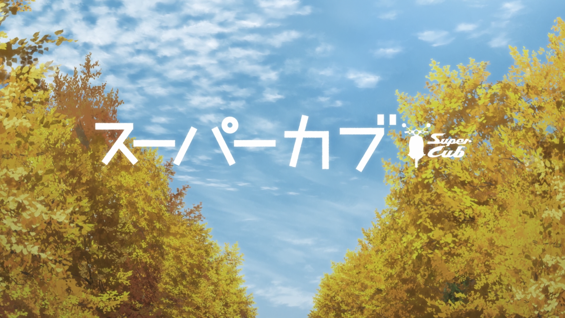 super cub (Anarchy Subs)