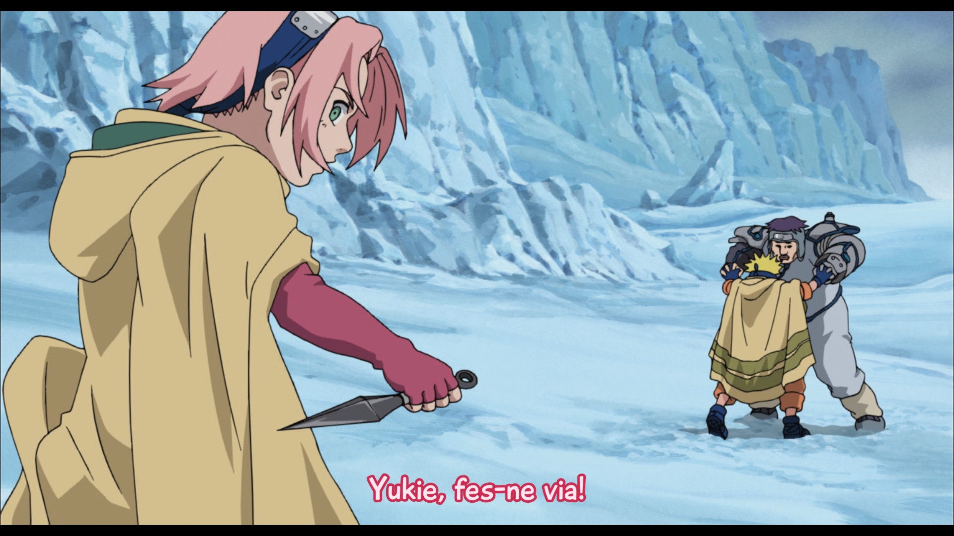 Naruto la Película: ¡El Rescate de la Princesa de la Nieve! (Ryuichi)