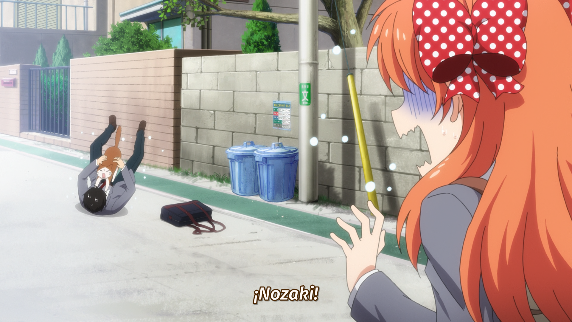 Gekkan Shoujo Nozaki-kun (Anarchy Subs)