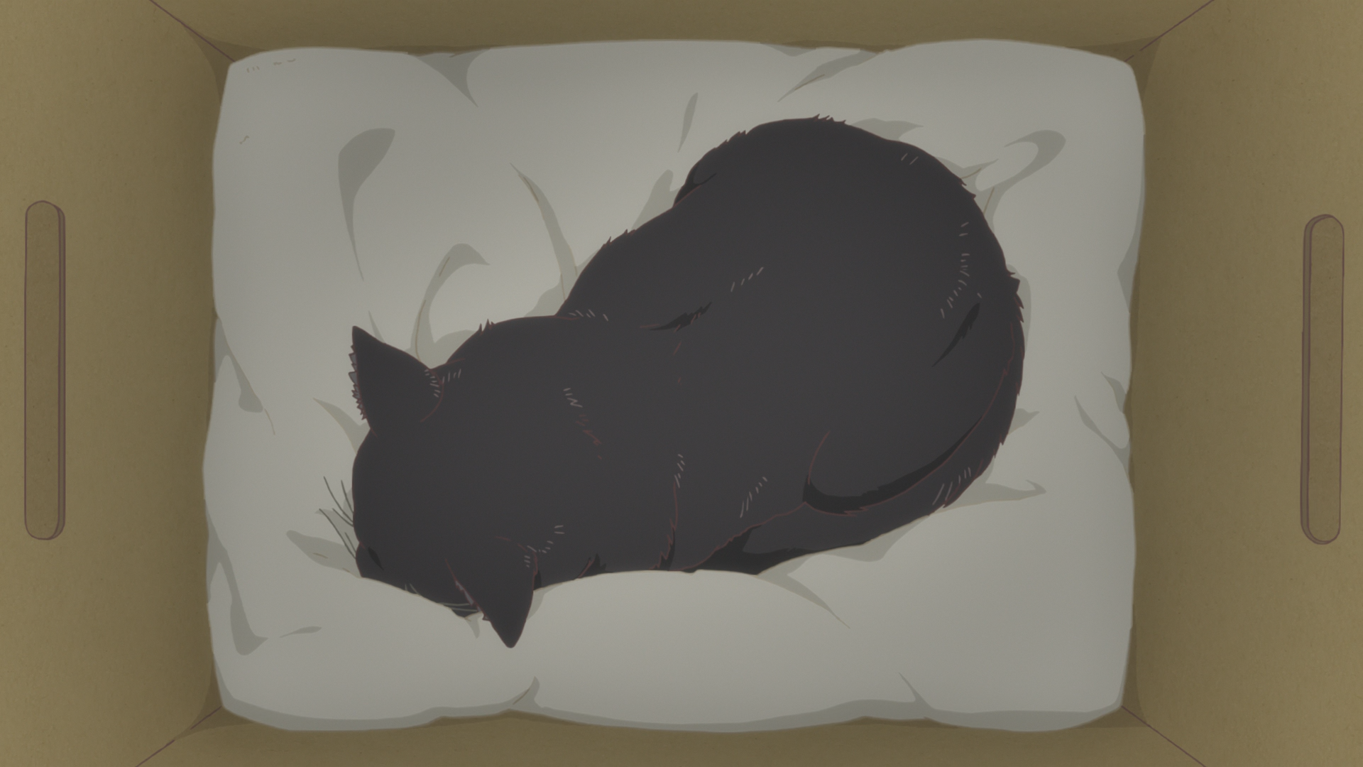 Kanojo to Kanojo no Neko: Everything Flows (Davi)