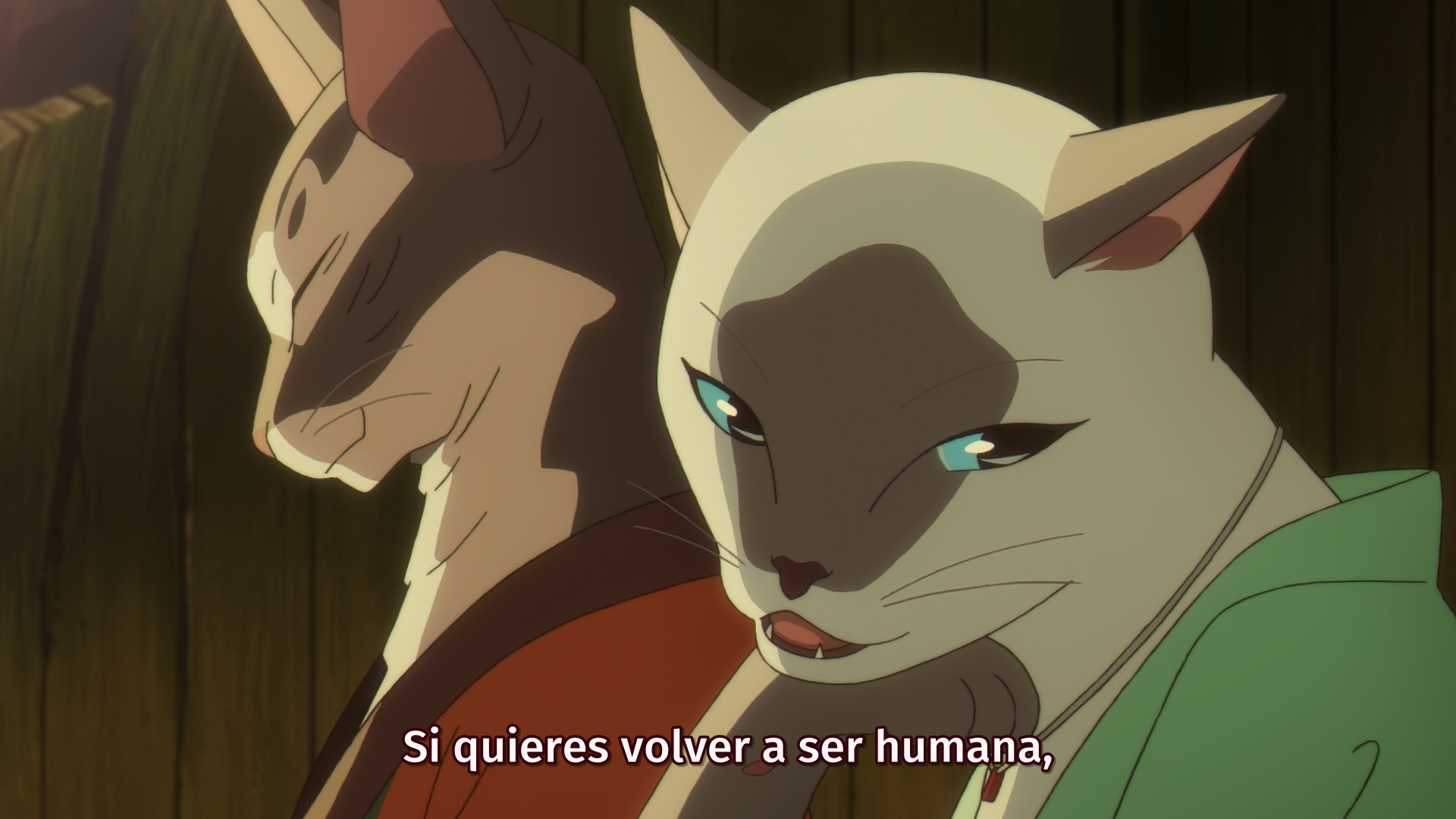 Amor de Gata (Anarchy Subs)