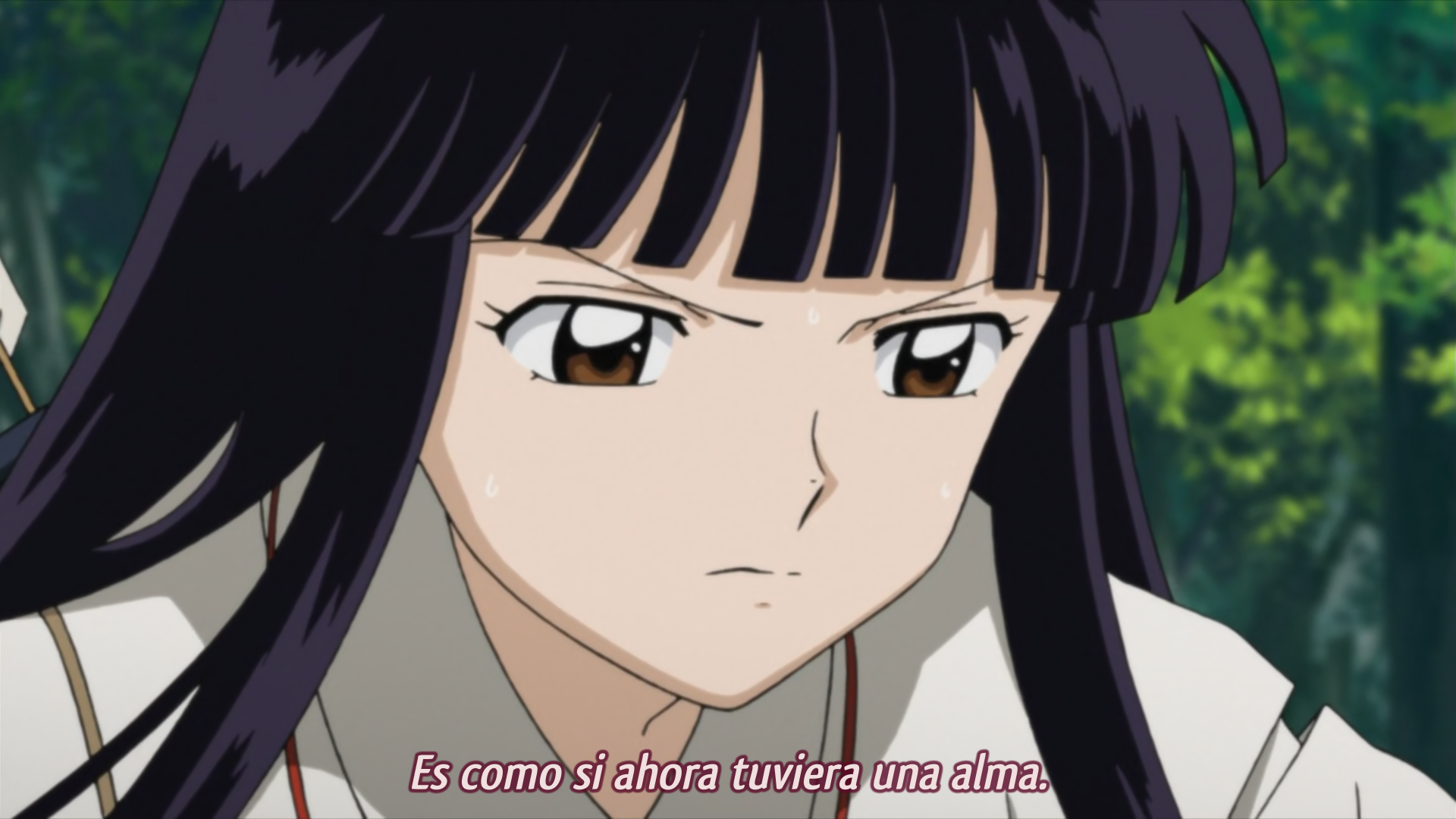 InuYasha: Kanketsu-hen (Animelliure)