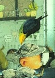 Enkinhou no Hako: Hakase no Sagashimono