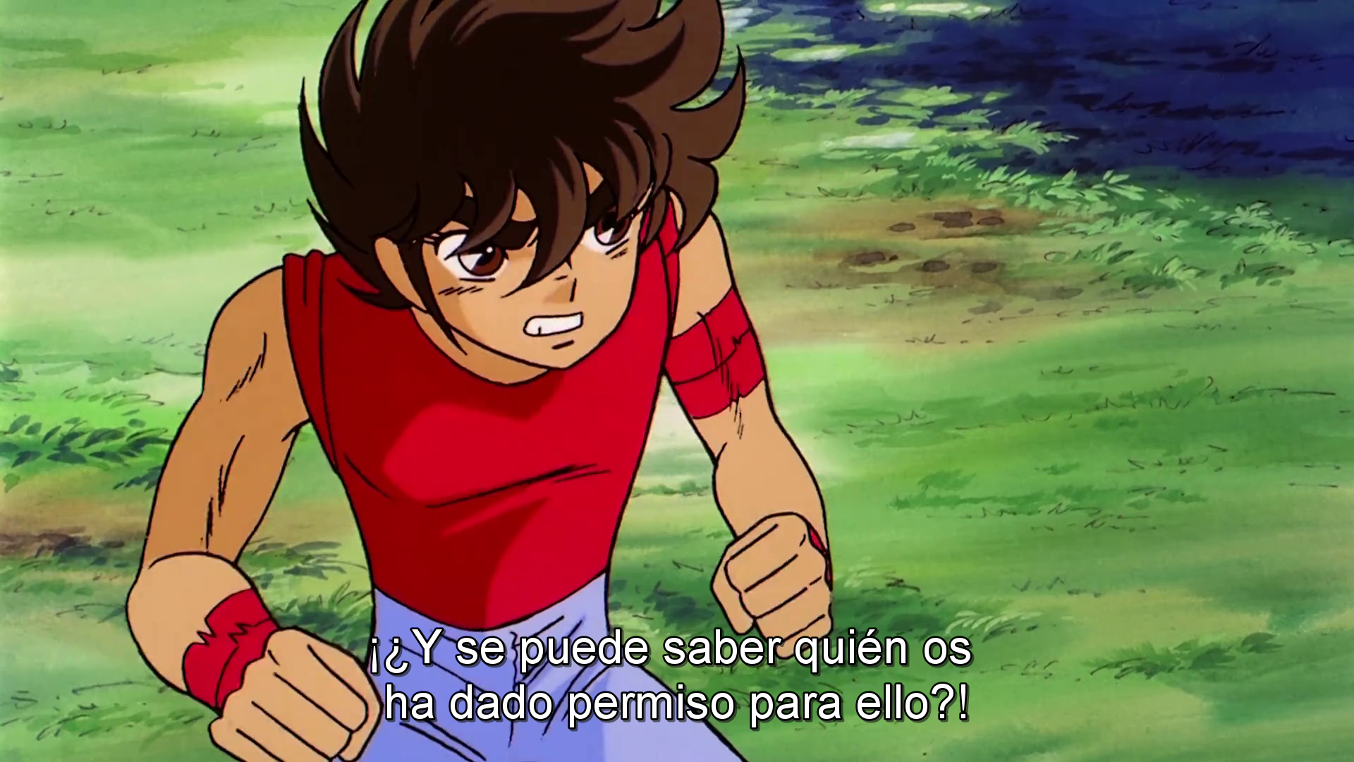 Los Caballeros del Zodiaco: La leyenda de los santos escarlatas (Película 3) (delahera85, EvoShare)