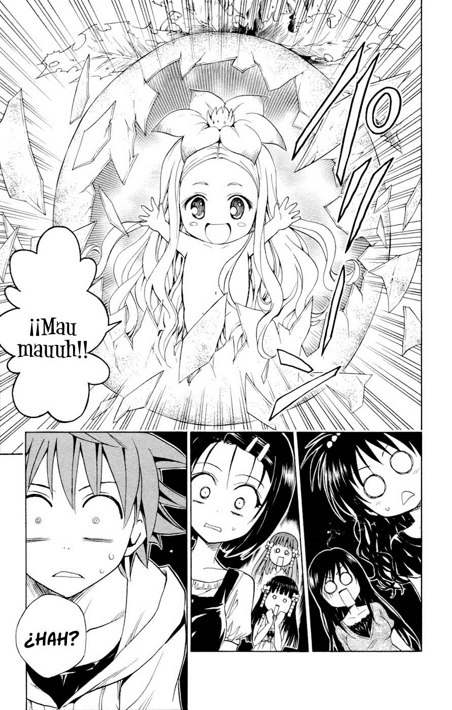 To Love-Ru: Trouble (Sukebe Buntai)